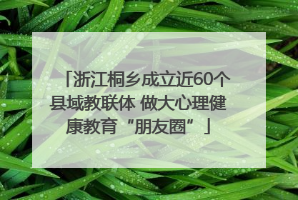 浙江桐乡成立近60个县域教联体 做大心理健康教育“朋友圈”
