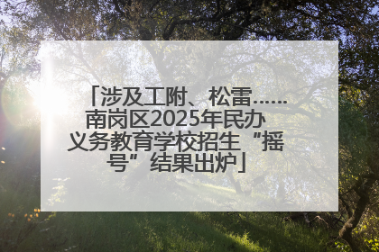 涉及工附、松雷……南岗区2025年民办义务教育学校招生“摇号”结果出炉