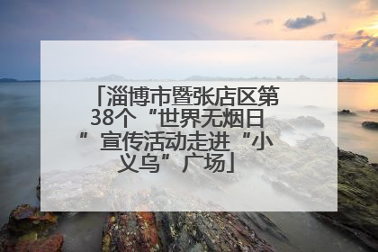 淄博市暨张店区第38个“世界无烟日”宣传活动走进“小义乌”广场