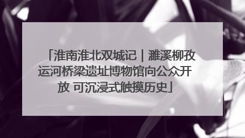 淮南淮北双城记｜濉溪柳孜运河桥梁遗址博物馆向公众开放 可沉浸式触摸历史