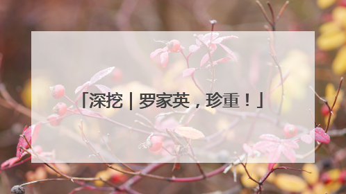 深挖｜罗家英，珍重！