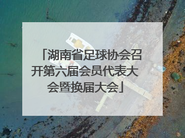 湖南省足球协会召开第六届会员代表大会暨换届大会