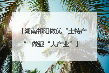 湖南祁阳做优“土特产” 做强“大产业”