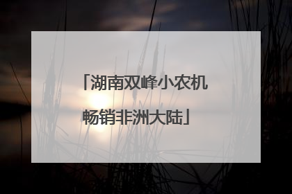 湖南双峰小农机畅销非洲大陆