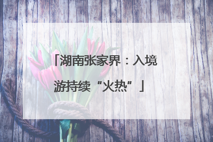 湖南张家界：入境游持续“火热”