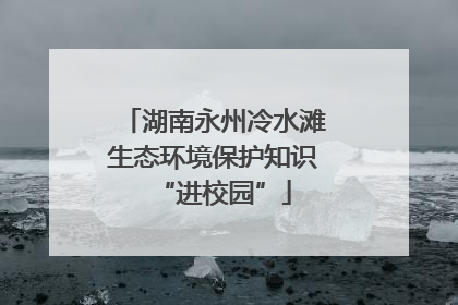 湖南永州冷水滩生态环境保护知识“进校园”