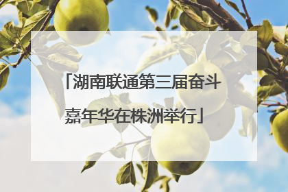 湖南联通第三届奋斗嘉年华在株洲举行