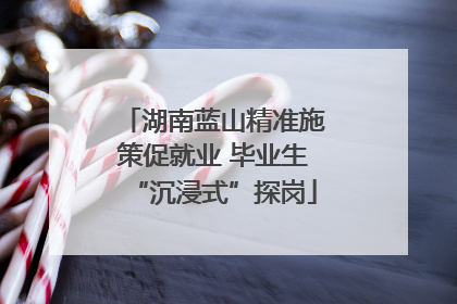 湖南蓝山精准施策促就业 毕业生“沉浸式”探岗