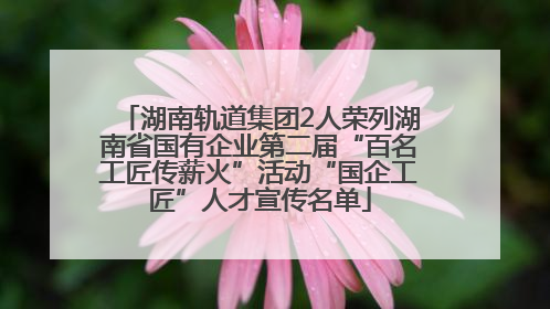 湖南轨道集团2人荣列湖南省国有企业第二届“百名工匠传薪火”活动“国企工匠”人才宣传名单