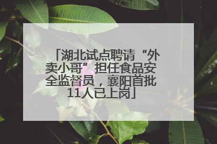 湖北试点聘请“外卖小哥”担任食品安全监督员，襄阳首批11人已上岗
