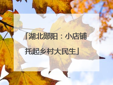 湖北郧阳：小店铺托起乡村大民生