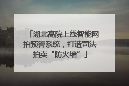 湖北高院上线智能网拍预警系统，打造司法拍卖“防火墙”