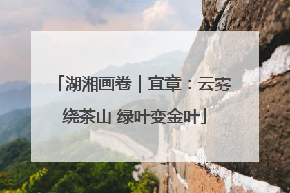 湖湘画卷｜宜章：云雾绕茶山 绿叶变金叶