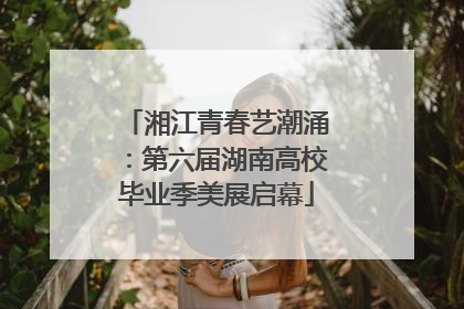 湘江青春艺潮涌：第六届湖南高校毕业季美展启幕