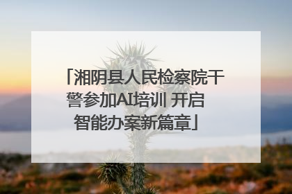 湘阴县人民检察院干警参加AI培训 开启智能办案新篇章