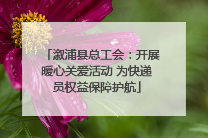 溆浦县总工会：开展暖心关爱活动 为快递员权益保障护航