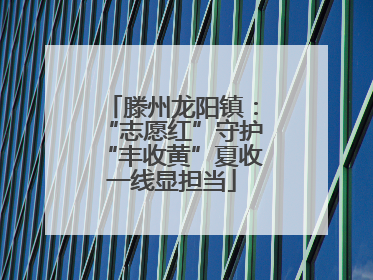 滕州龙阳镇：“志愿红”守护“丰收黄”夏收一线显担当