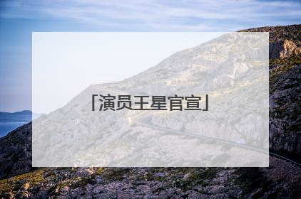 演员王星官宣