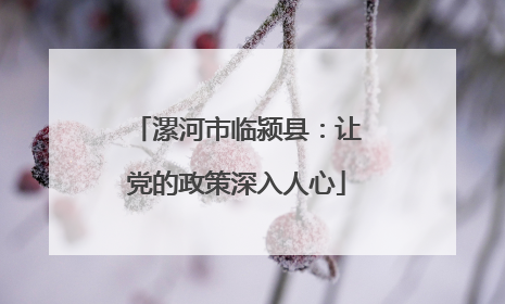 漯河市临颍县：让党的政策深入人心