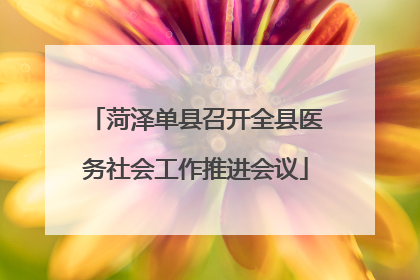 菏泽单县召开全县医务社会工作推进会议