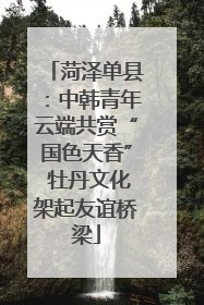 菏泽单县：中韩青年云端共赏“国色天香” 牡丹文化架起友谊桥梁