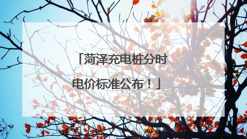 菏泽充电桩分时电价标准公布！