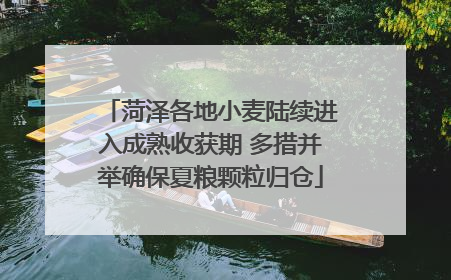 菏泽各地小麦陆续进入成熟收获期 多措并举确保夏粮颗粒归仓