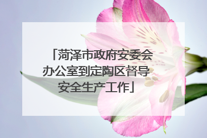 菏泽市政府安委会办公室到定陶区督导安全生产工作