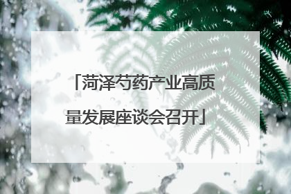 菏泽芍药产业高质量发展座谈会召开