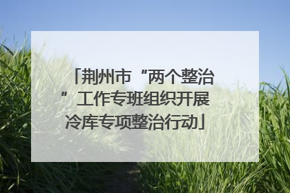 荆州市“两个整治”工作专班组织开展冷库专项整治行动