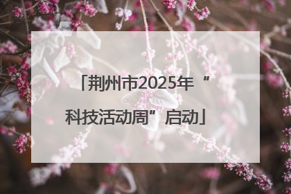 荆州市2025年“科技活动周”启动