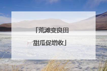 荒滩变良田 甜瓜促增收