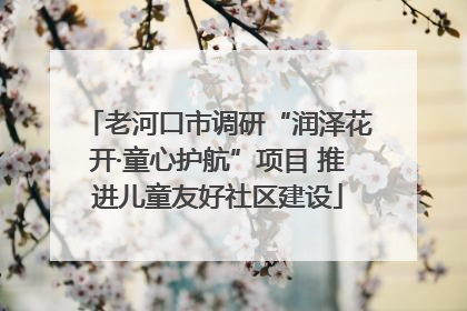 老河口市调研“润泽花开·童心护航”项目 推进儿童友好社区建设