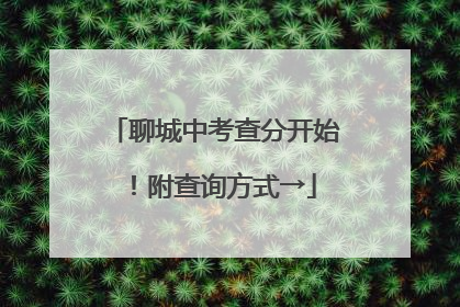聊城中考查分开始！附查询方式→