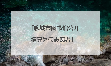 聊城市图书馆公开招募暑假志愿者