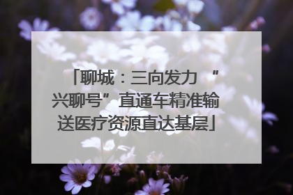 聊城：三向发力 “兴聊号”直通车精准输送医疗资源直达基层