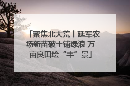 聚焦北大荒丨延军农场新苗破土铺绿浪 万亩良田绘“丰”景