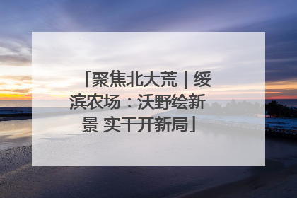 聚焦北大荒｜绥滨农场：沃野绘新景 实干开新局