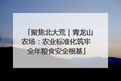 聚焦北大荒｜青龙山农场：农业标准化筑牢全年粮食安全根基