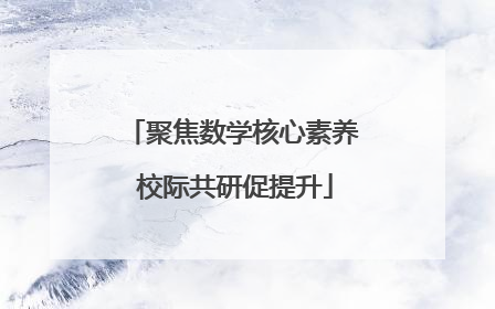 聚焦数学核心素养 校际共研促提升