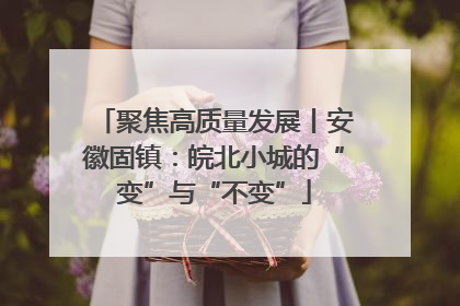 聚焦高质量发展丨安徽固镇：皖北小城的“变”与“不变”