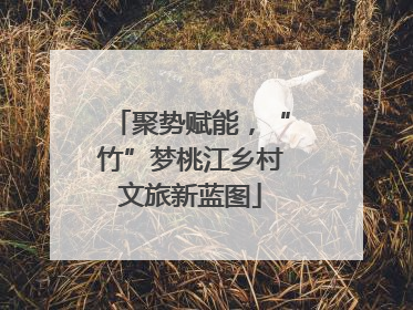 聚势赋能，“竹”梦桃江乡村文旅新蓝图