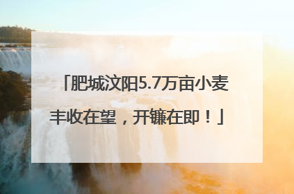 肥城汶阳5.7万亩小麦丰收在望，开镰在即！