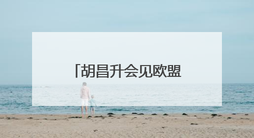 胡昌升会见欧盟国家驻华使节团