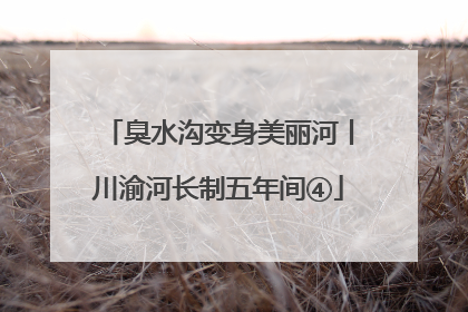 臭水沟变身美丽河丨川渝河长制五年间④
