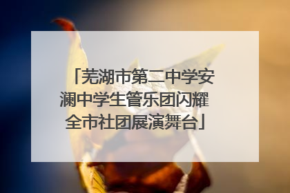 芜湖市第二中学安澜中学生管乐团闪耀全市社团展演舞台
