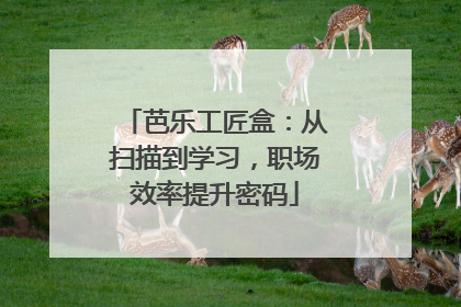 芭乐工匠盒：从扫描到学习，职场效率提升密码
