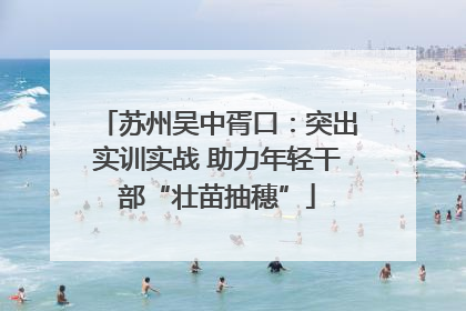 苏州吴中胥口：突出实训实战 助力年轻干部“壮苗抽穗”