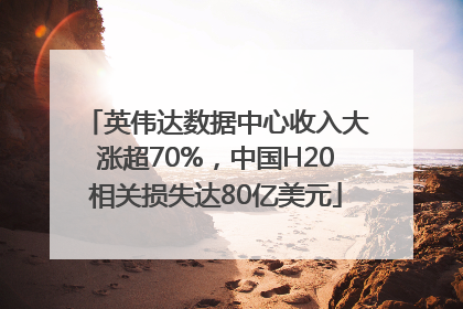 英伟达数据中心收入大涨超70%，中国H20相关损失达80亿美元