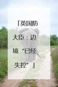 英国防大臣：边境“已经失控”